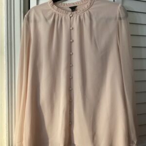 Ann Taylor Women’s Soft Pink Button-Up Flowy Blouse, Long sheer sleeves, Size L